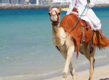 Sömestre Dubai Fly Dubai Ile 4 Gece